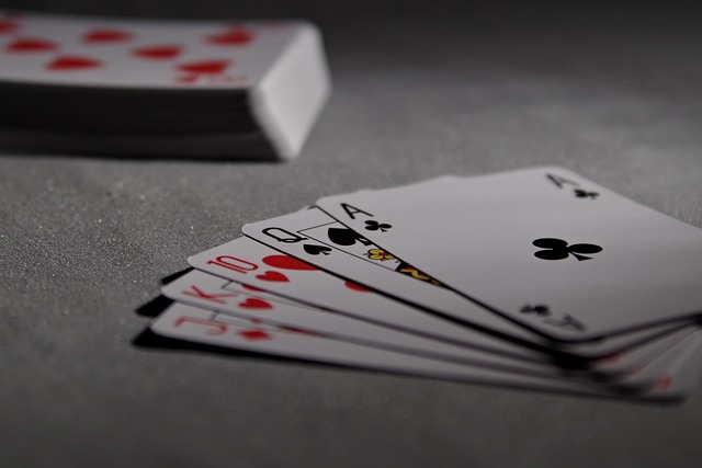 Casino Software 