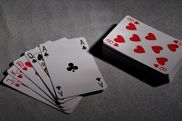 Casino Software 